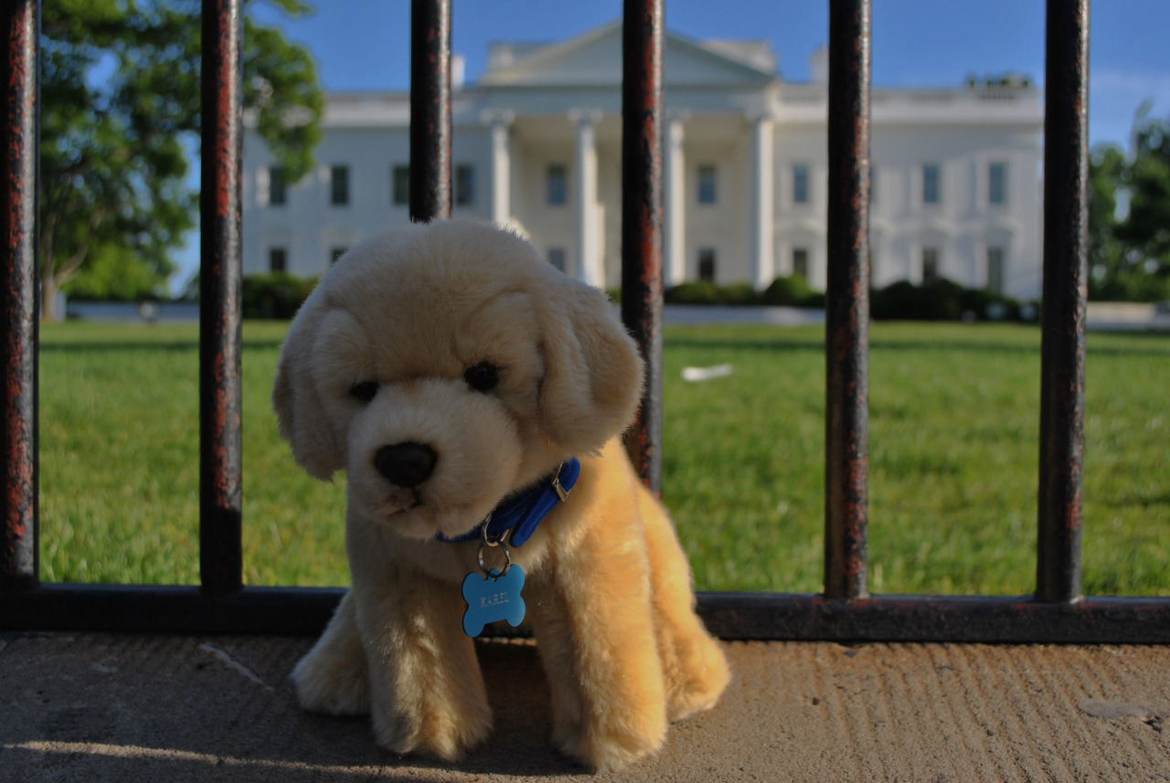 Karel at the White House -- CS for All.