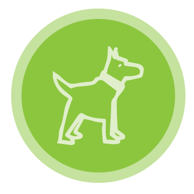 focus on solving problems using code, rather than getting bogged