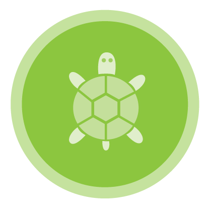 Python Turtle Logoturtle Python Turtle Turtle Graphics Learn | My XXX ...