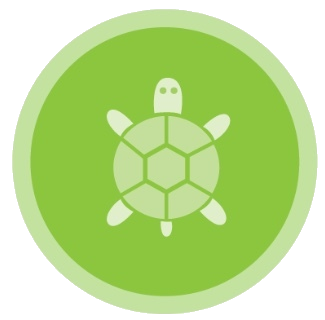 Codehs Tracy The Turtle Answers Quizlet